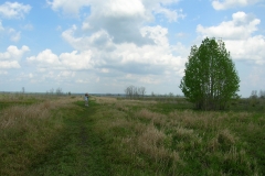 DSCN1258