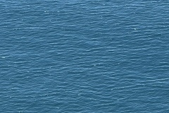 Santa Cruz Island