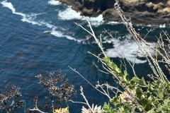 Santa Cruz Island