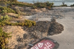 UCSB Lagoon