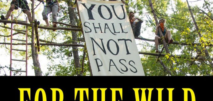 For the Wild cover excerpt