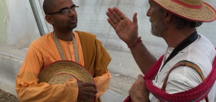 A conversation about organic farming with Nimai, one of the amazing engineer-monks living at the Govardhan Ecovillage.