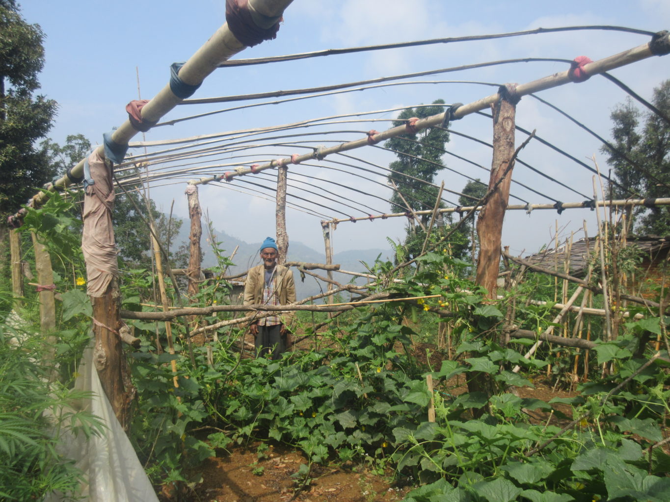 A Mallikarjun resident in his kitchen garden