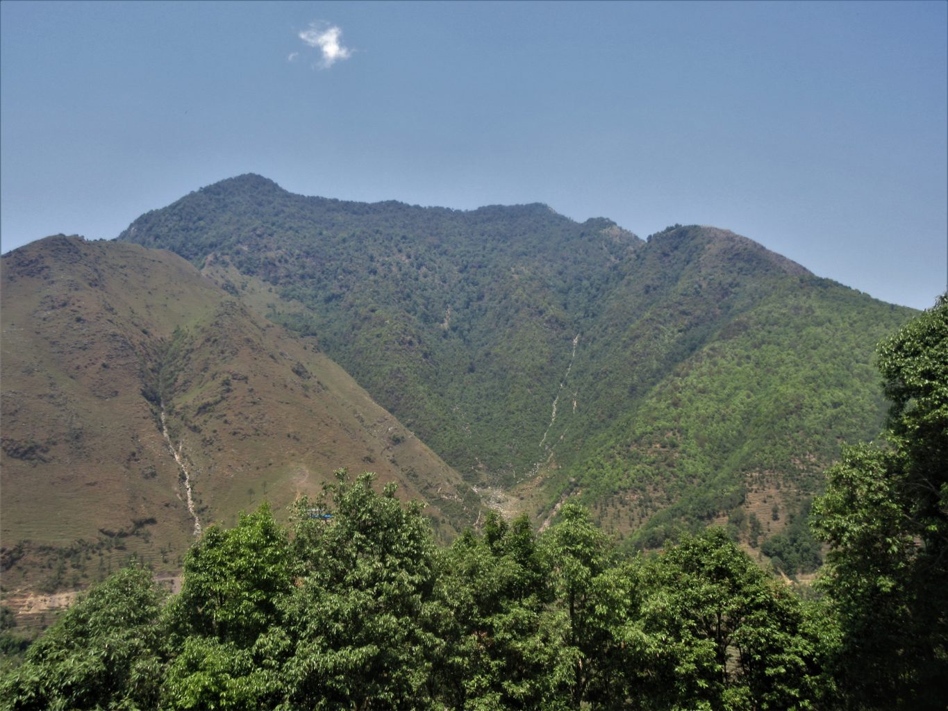 Mallikarjun Mountain