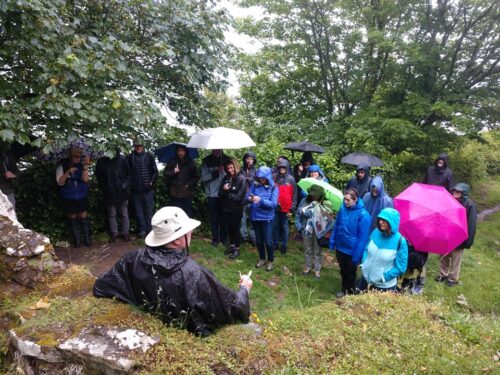 Ardmore tour