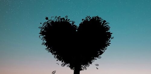 Sarah Pike interview - PT