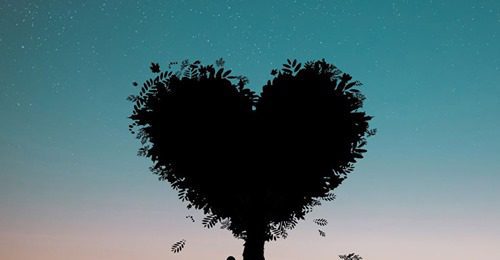 Sarah Pike interview - PT