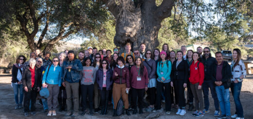 ©Molly Peters / Courtesy of the Apache Stronghold.