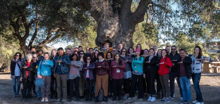 Photo from the Oak Flat field trip at the ISSRNC conference in 2023. © Evan Berry.